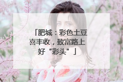 肥城：彩色土豆喜丰收，致富路上好“彩头”