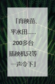 育秧苗、平水田……200多台插秧机只等一声令下