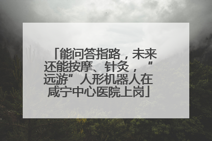 能问答指路，未来还能按摩、针灸，“远游”人形机器人在咸宁中心医院上岗