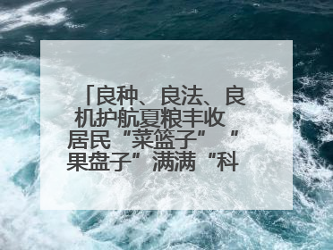 良种、良法、良机护航夏粮丰收 居民“菜篮子”“果盘子”满满“科技范儿”