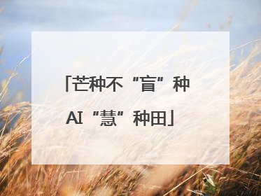 芒种不“盲”种 AI“慧”种田