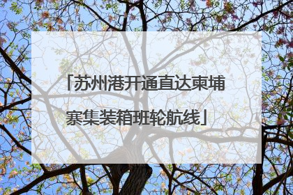 苏州港开通直达柬埔寨集装箱班轮航线