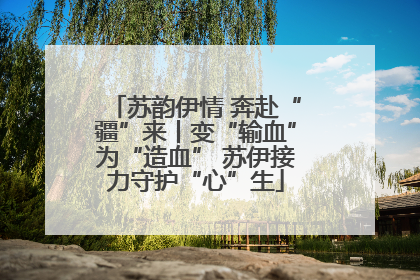苏韵伊情 奔赴“疆”来丨变“输血”为“造血” 苏伊接力守护“心”生