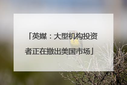 英媒：大型机构投资者正在撤出美国市场