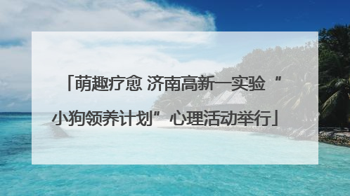 萌趣疗愈 济南高新一实验“小狗领养计划”心理活动举行