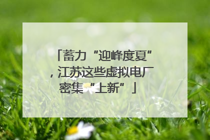 蓄力“迎峰度夏”，江苏这些虚拟电厂密集“上新”