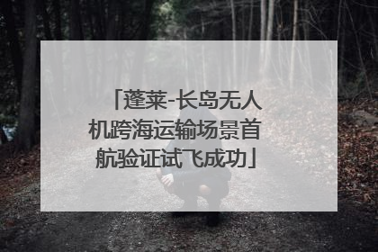 蓬莱-长岛无人机跨海运输场景首航验证试飞成功