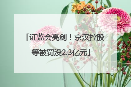 证监会亮剑！京汉控股等被罚没2.3亿元