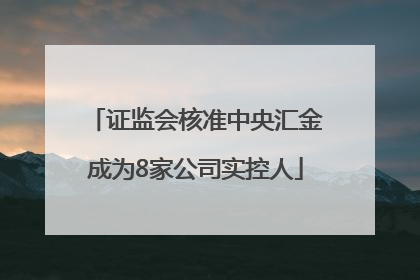 证监会核准中央汇金成为8家公司实控人