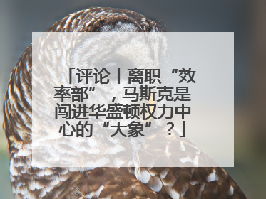 评论丨离职“效率部”，马斯克是闯进华盛顿权力中心的“大象”？