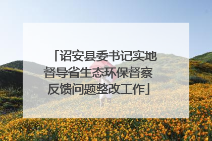 诏安县委书记实地督导省生态环保督察反馈问题整改工作