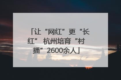让“网红”更“长红” 杭州培育“村播”2600余人