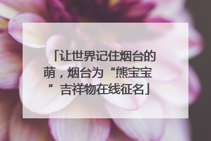 让世界记住烟台的萌，烟台为“熊宝宝”吉祥物在线征名