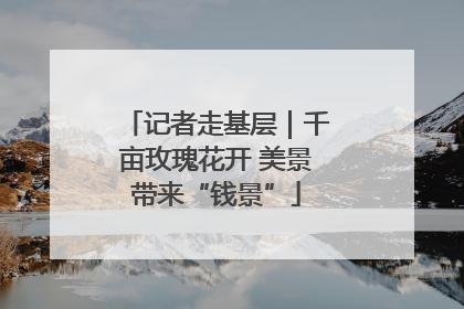 记者走基层｜千亩玫瑰花开 美景带来“钱景”