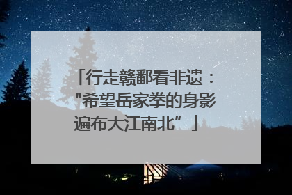 行走赣鄱看非遗：“希望岳家拳的身影遍布大江南北”