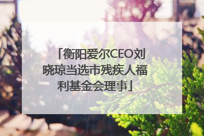 衡阳爱尔CEO刘晓琼当选市残疾人福利基金会理事