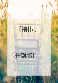 褚伟，升副部