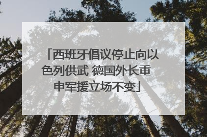 西班牙倡议停止向以色列供武 德国外长重申军援立场不变