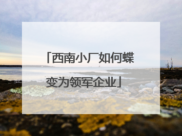 西南小厂如何蝶变为领军企业