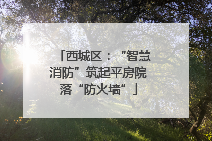 西城区：“智慧消防”筑起平房院落“防火墙”