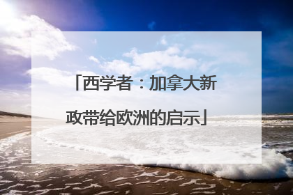 西学者：加拿大新政带给欧洲的启示