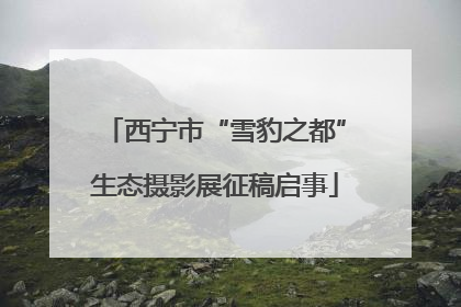 西宁市“雪豹之都”生态摄影展征稿启事