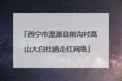 西宁市湟源县前沟村高山大白杜鹃走红网络