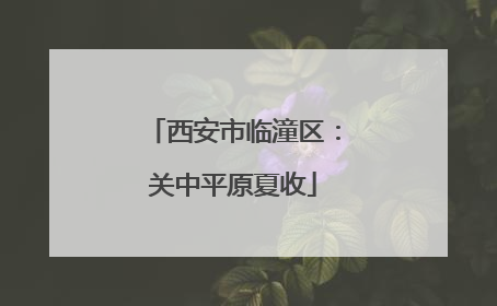 西安市临潼区：关中平原夏收
