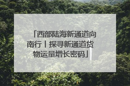 西部陆海新通道向南行丨探寻新通道货物运量增长密码
