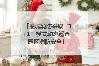 襄城消防采取“1+1”模式动态巡查园区消防安全