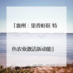 襄州：果香虾跃 特色农业激活新动能