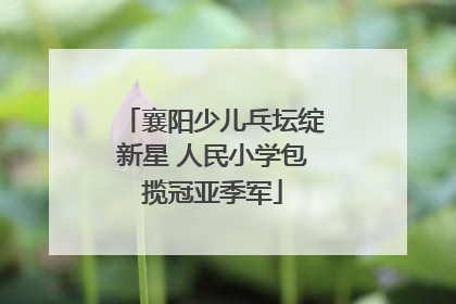襄阳少儿乓坛绽新星 人民小学包揽冠亚季军