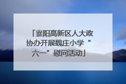 襄阳高新区人大政协办开展魏庄小学“六一”慰问活动