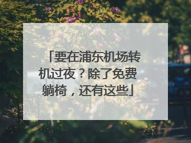 要在浦东机场转机过夜？除了免费躺椅，还有这些