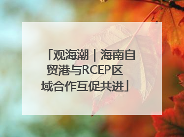 观海潮｜海南自贸港与RCEP区域合作互促共进