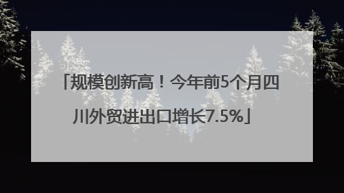 规模创新高！今年前5个月四川外贸进出口增长7.5%
