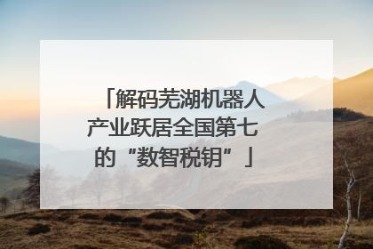 解码芜湖机器人产业跃居全国第七的“数智税钥”