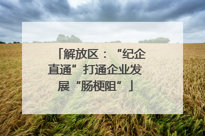 解放区：“纪企直通”打通企业发展“肠梗阻”