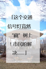 这个交通信号灯竟然“藏”树上！市民盼解决……