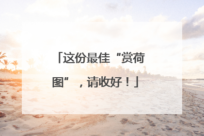 这份最佳“赏荷图”，请收好！
