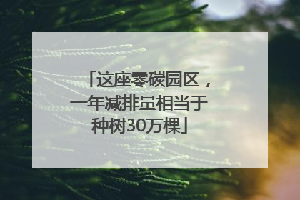 这座零碳园区，一年减排量相当于种树30万棵