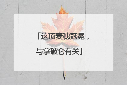 这顶麦穗冠冕，与拿破仑有关