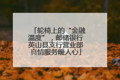轮椅上的“金融温度”，邮储银行英山县支行营业部真情服务暖人心