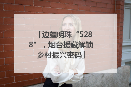 边疆明珠“5288”，烟台援藏解锁乡村振兴密码