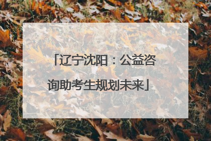 辽宁沈阳：公益咨询助考生规划未来