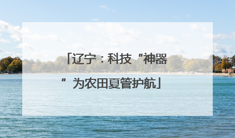 辽宁：科技“神器”为农田夏管护航