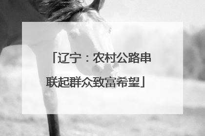 辽宁：农村公路串联起群众致富希望