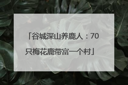 谷城深山养鹿人：70只梅花鹿带富一个村