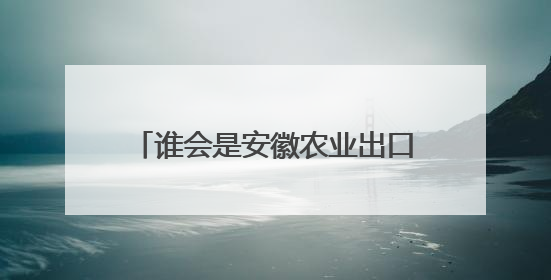 谁会是安徽农业出口的下一个NO.1？