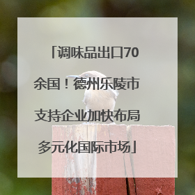 调味品出口70余国！德州乐陵市支持企业加快布局多元化国际市场